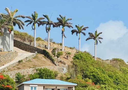 cf4bff07 1861 4b2e a965 deeeb617ebc1