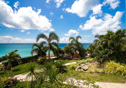 the cliff ocean view